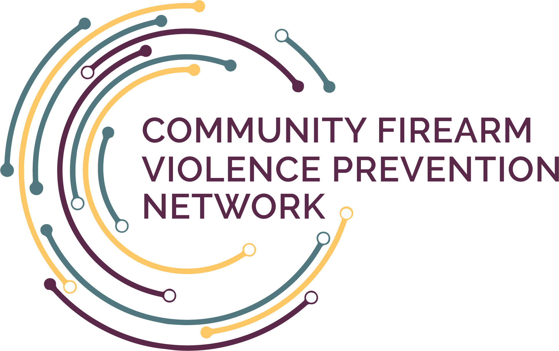 CFVP Network Logo
